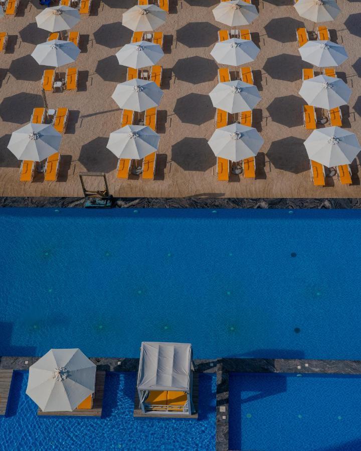 C Central Hotel And Resort The Palm Dubai Esterno foto The swimming pool at the hotel